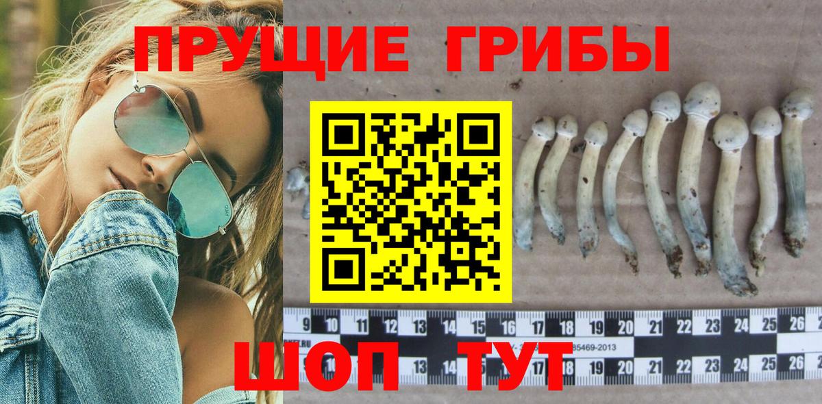 Псилоцибиновые грибы Magic Shrooms  Вход с VPN  Муром 