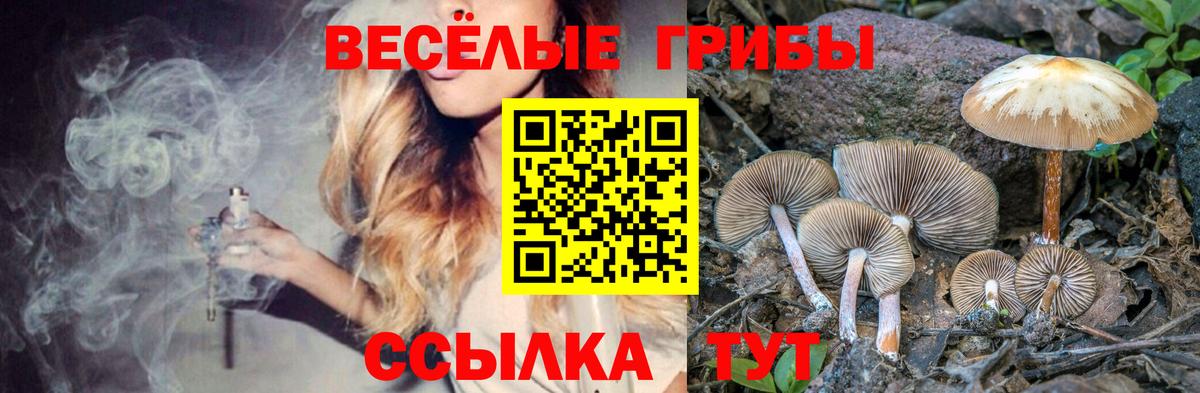 Альфа ПВП Муром